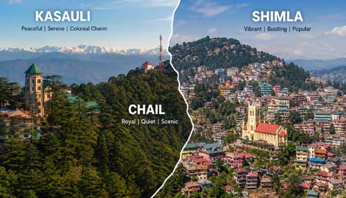 Kasauli Shimla Chail Tour